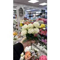 Dekoratif Şakayık Mini Demet 6'lı - 50711 -